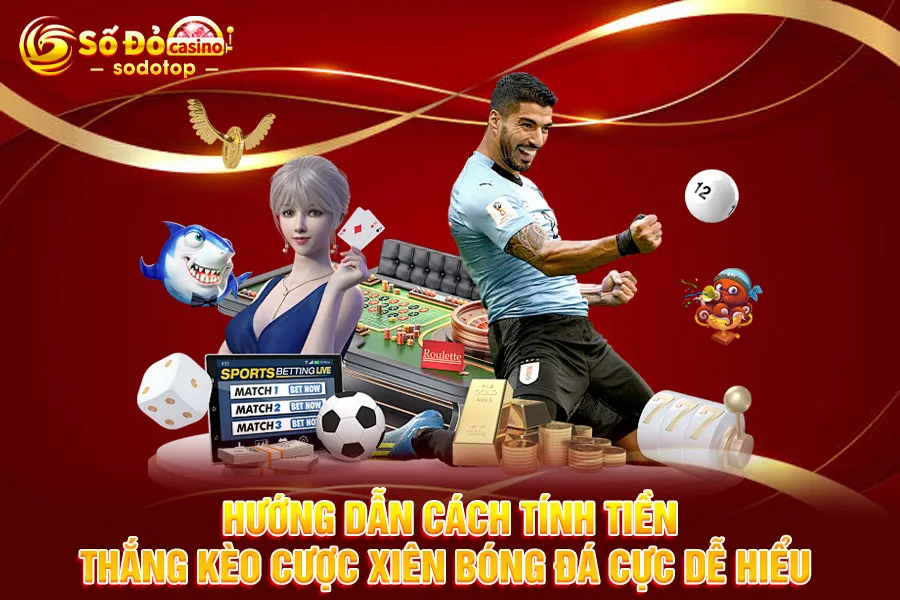 hướng-dẫn-cách-tính-tiền-thắng-kèo-cược-xiên-bóng-đá-cực-dễ-hiểu